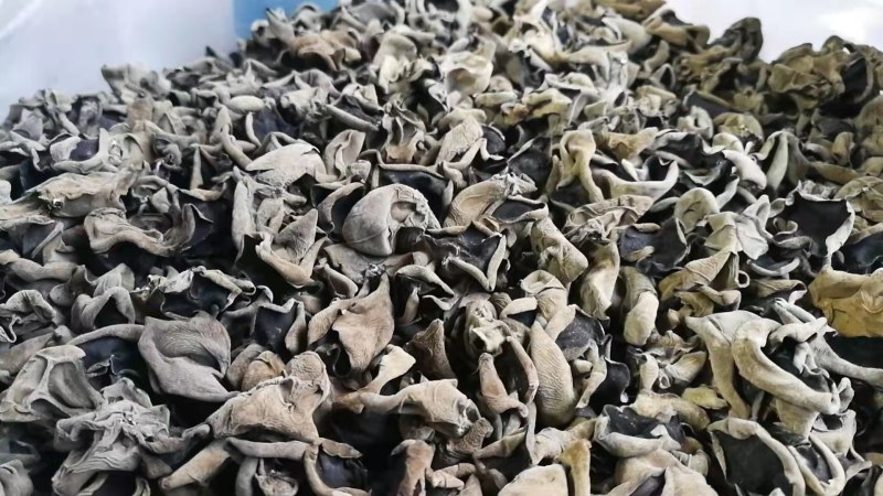 黑木耳秋木耳碗耳黑龙江产地一手货源批发
