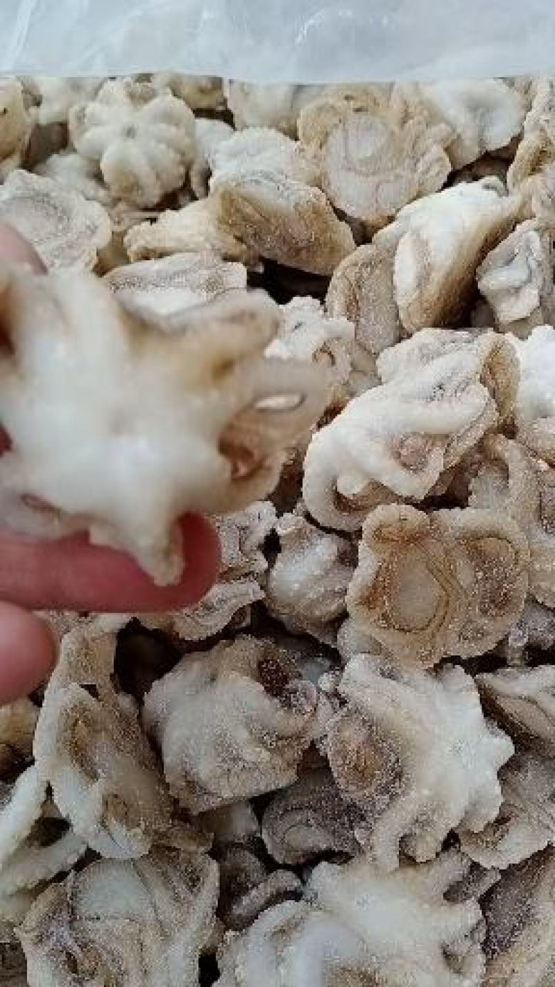 盐揉八爪鱼新鲜冷冻迷你小章鱼盐揉章鱼八爪鱼去内脏小章鱼