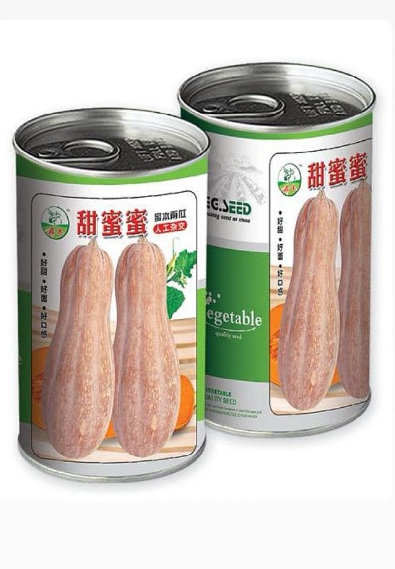 蜜本南瓜种子甜蜜蜜早熟瓜大产量高抗病香甜面
