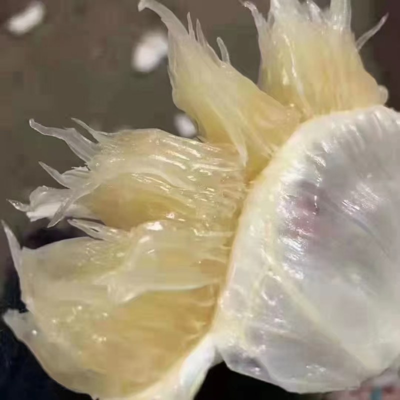 江永正宗老树香柚，口感纯甜，水份足