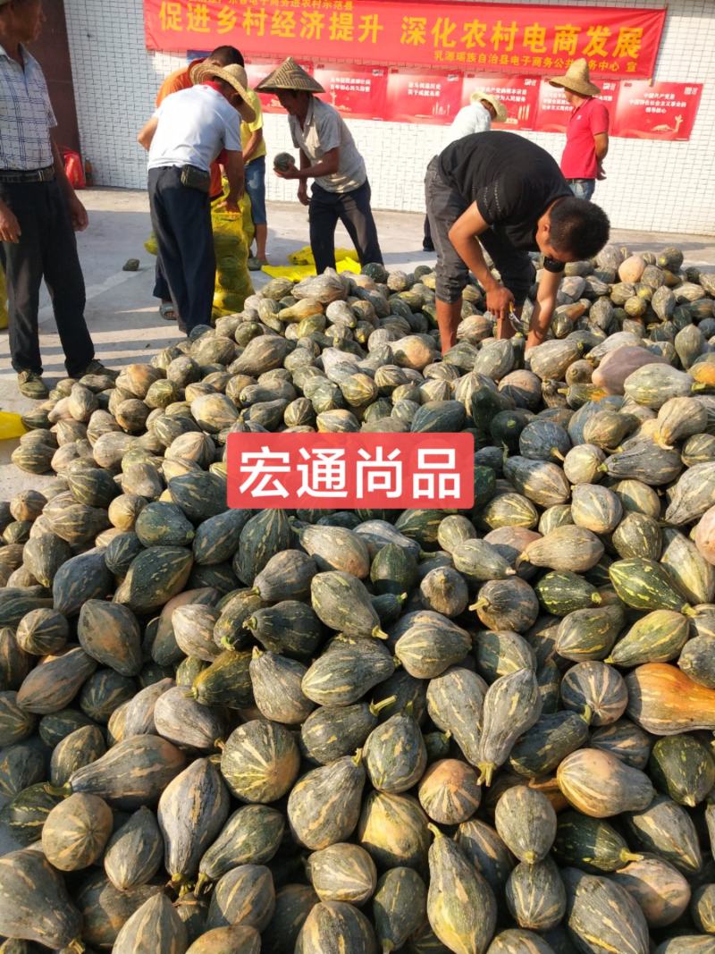 精品香芋南瓜
