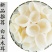 长白山玉木耳东北特产白木耳清脆爽口营养美味干货包邮