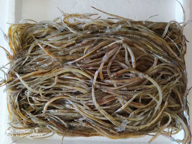 产地直发海龙一包500克海龙，适合各种酒店全国发货