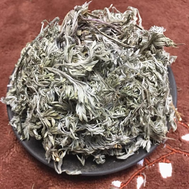 茵陈茵陈中草药正宗茵陈品质保证