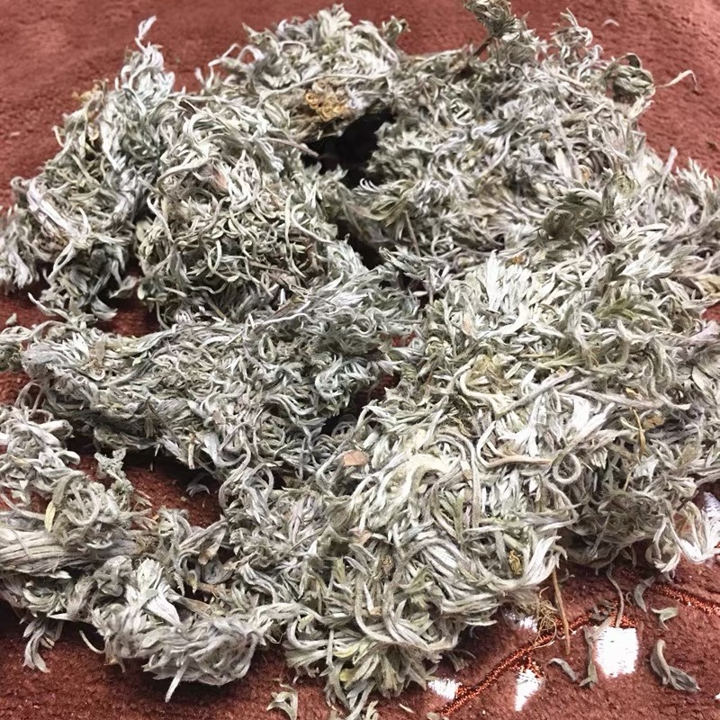 茵陈茵陈中草药正宗茵陈品质保证