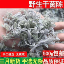 茵陈茵陈中草药正宗茵陈品质保证