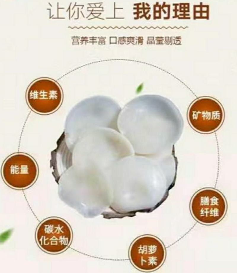 长白山玉木耳东北特产白木耳清脆爽口营养美味干货包邮