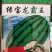 绿宝龙霸王花皮大果椭圆形西瓜种子甜又红瓜大正宗大红双红瓤