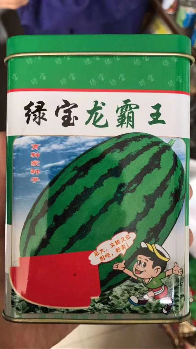 绿宝龙霸王花皮大果椭圆形西瓜种子甜又红瓜大正宗大红双红瓤