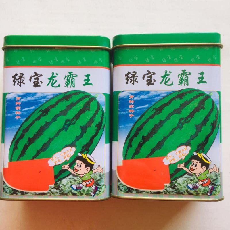 绿宝龙霸王花皮大果椭圆形西瓜种子甜又红瓜大正宗大红双红瓤