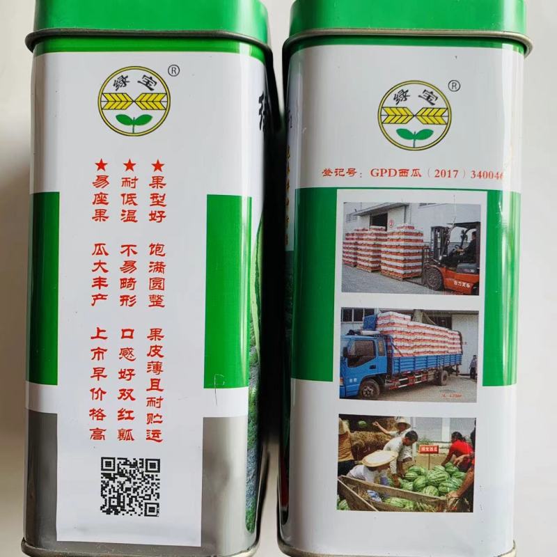 绿宝沙漠一号西瓜种子花皮椭圆形西瓜瓤色大红双红瓤皮薄韧