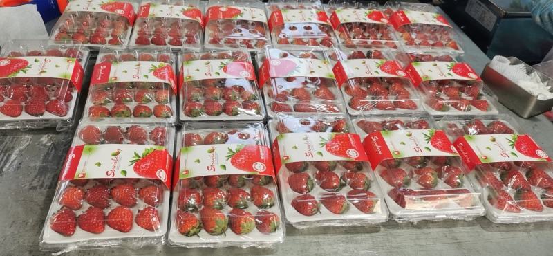 烘焙草莓，商超直供，平台订货，货源稳定，日产5000，