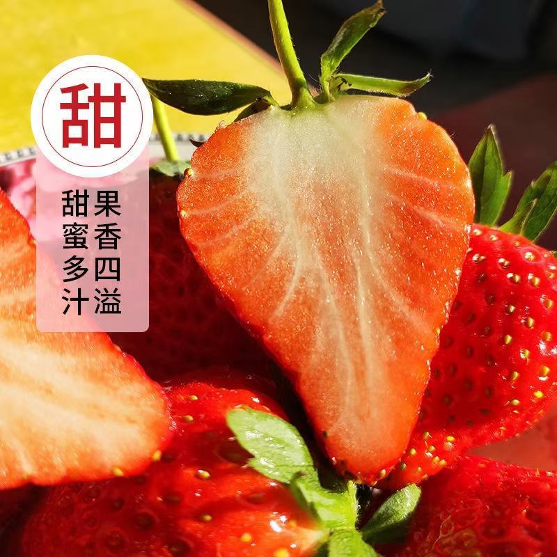 烘焙草莓，商超直供，平台订货，货源稳定，日产5000，