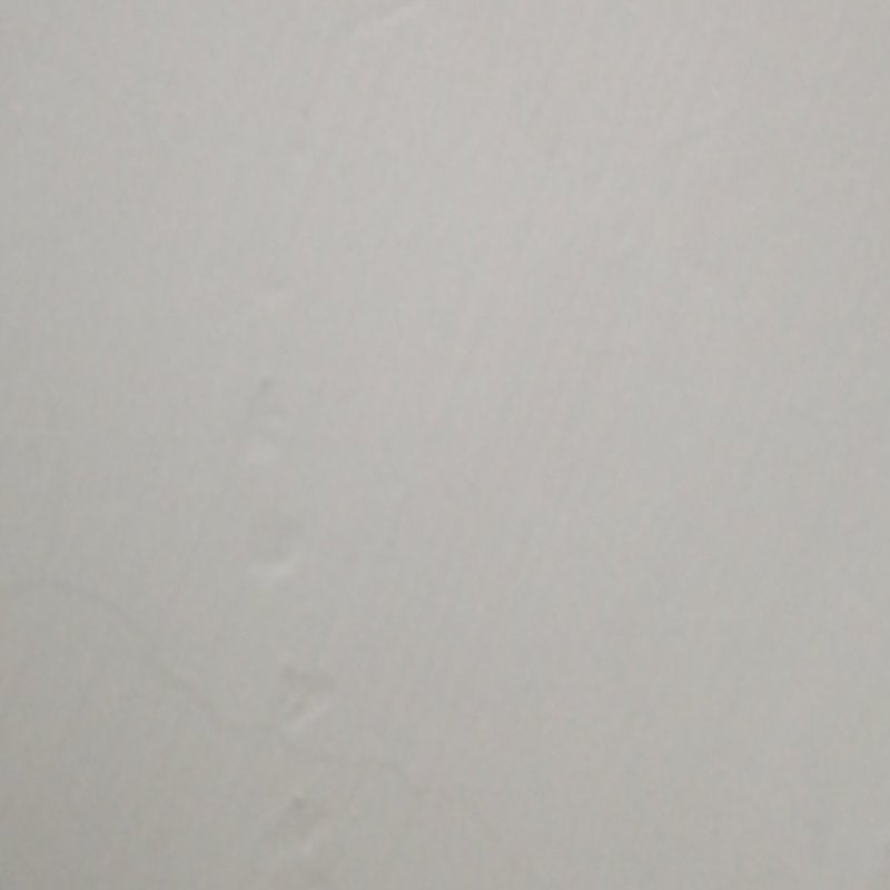 黑鱼