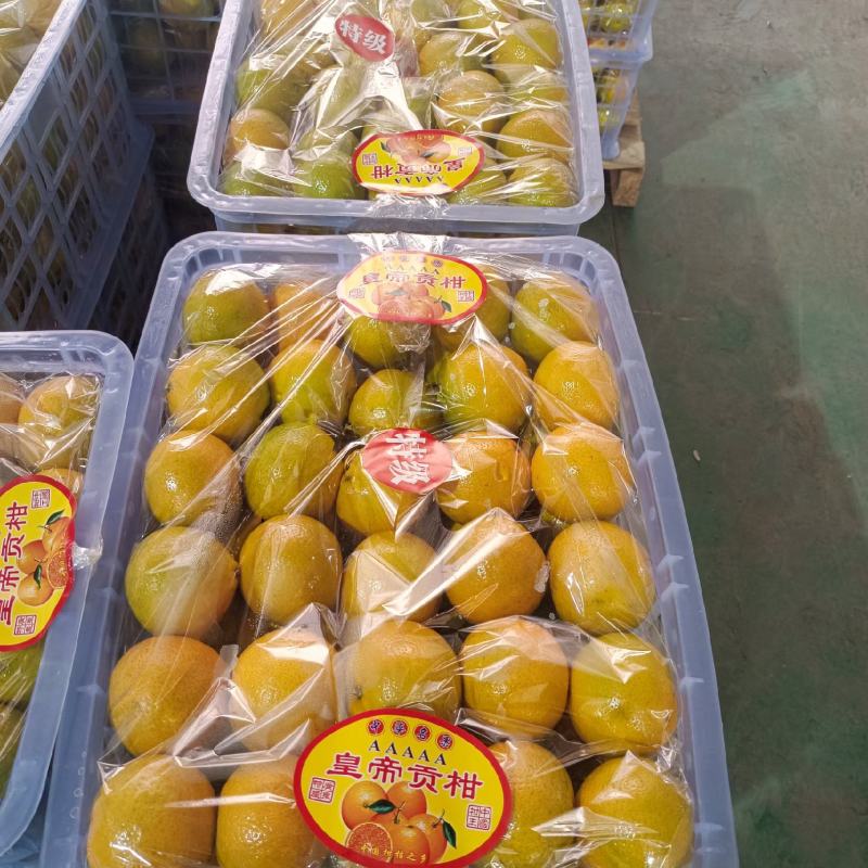 【精选优品】广东皇帝柑贡柑电商超市社区团购对接供应