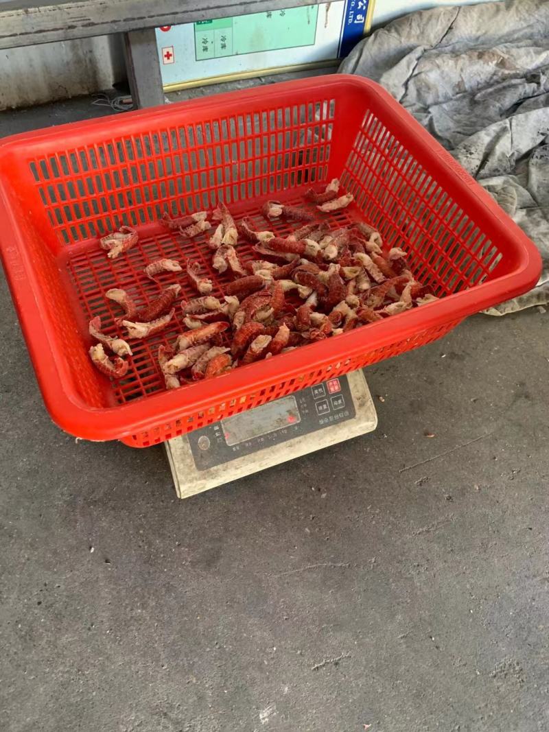 龙虾尾