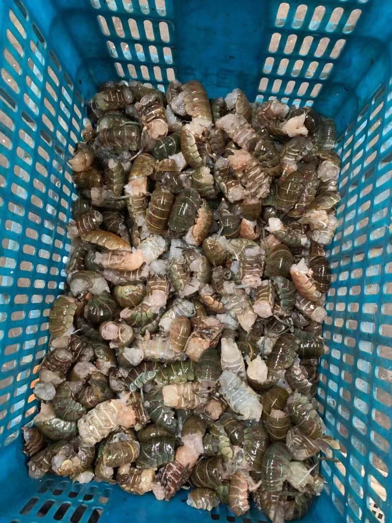 龙虾尾