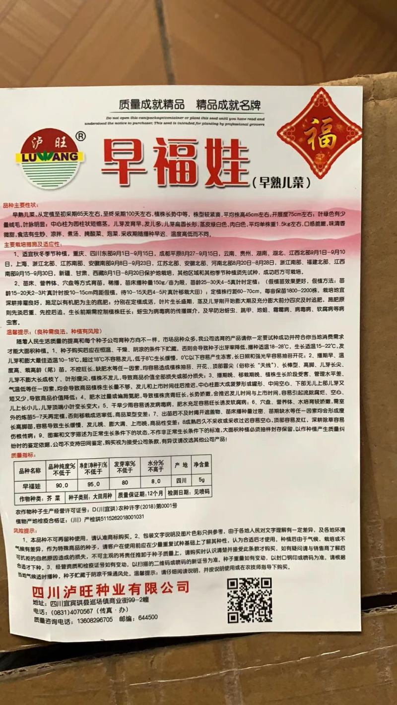 早熟儿菜种子早福娃早熟儿菜抗病高产商品性强