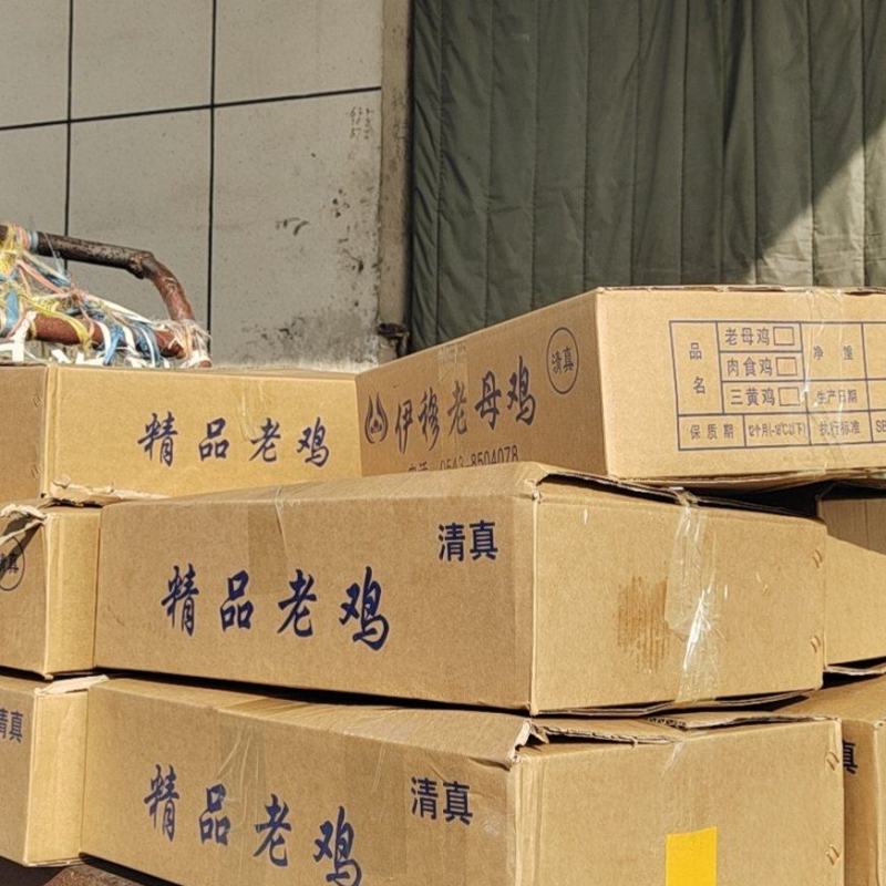 清真净膛纯干老母鸡，郑重承诺无死鸡、残鸡。低价保质保量！