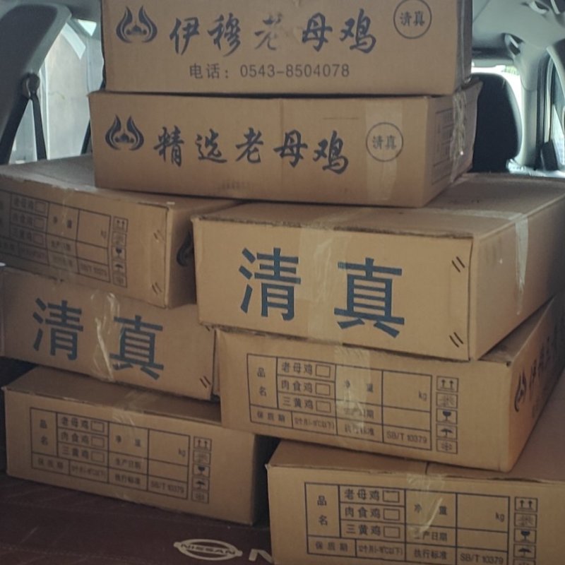 清真净膛纯干老母鸡，郑重承诺无死鸡、残鸡。低价保质保量！