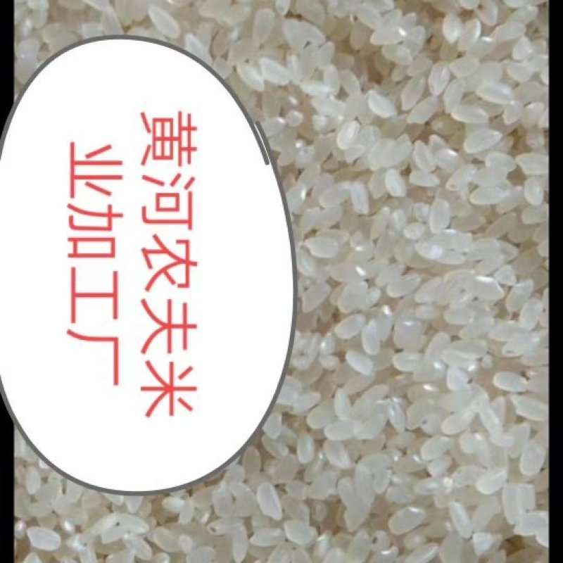 大米原阳优质大米期待老板光临合作，质量有保证，不掺外地