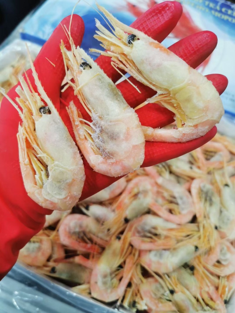 北极虾甜虾俄罗斯北极虾40-60规格十公斤起发
