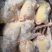 新鲜冷冻德通老母鸡煲汤卤味饭店食堂食材7只8只9只