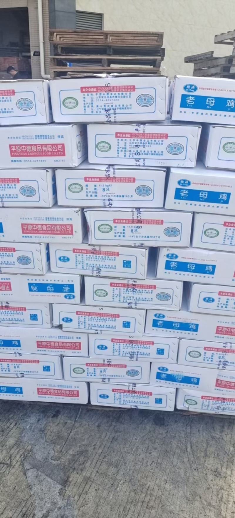 新鲜冷冻德通老母鸡煲汤卤味饭店食堂食材7只8只9只