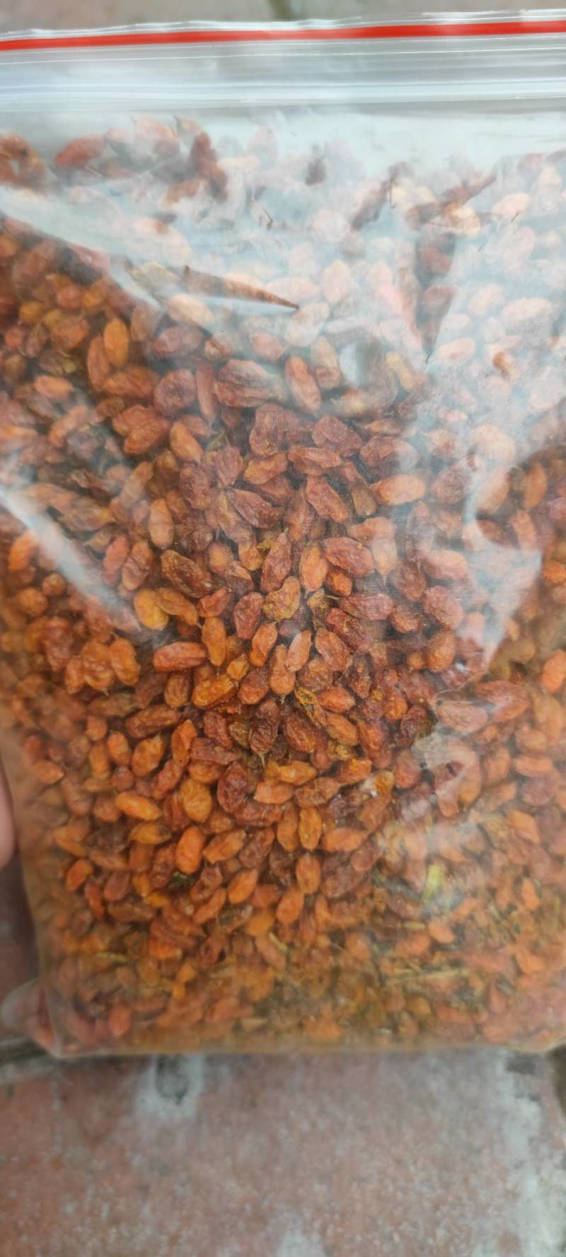 新疆沙棘果新货冻干沙棘粉各种中药材