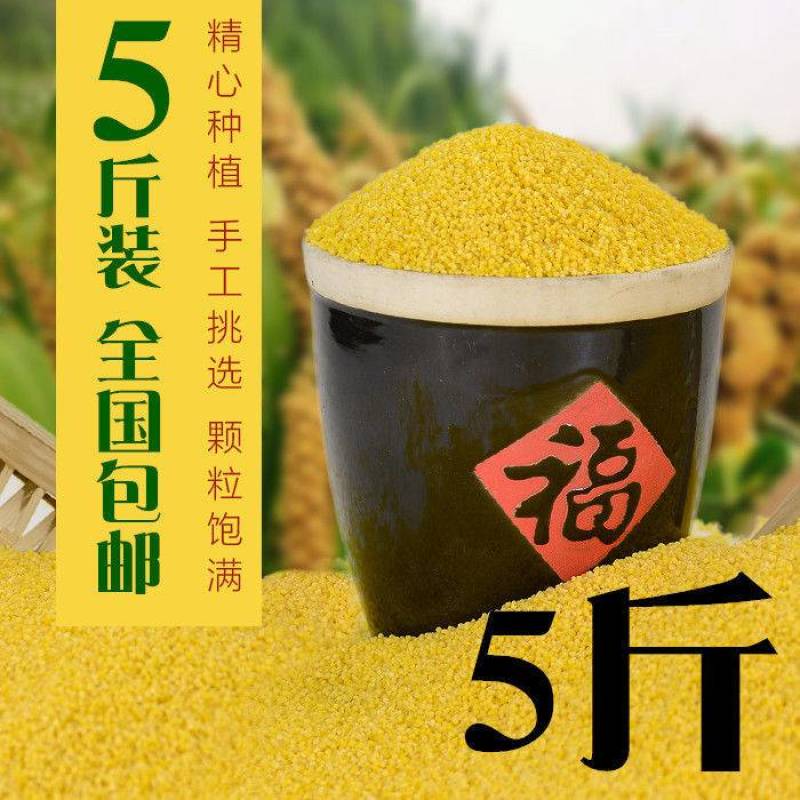 黄小米精米农家小米月子米