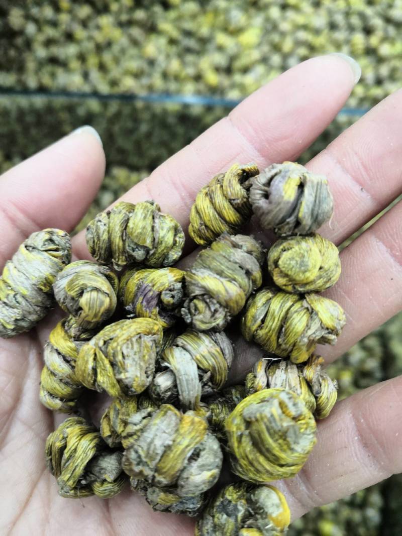铁皮石斛一斤包邮批发价格量大优惠