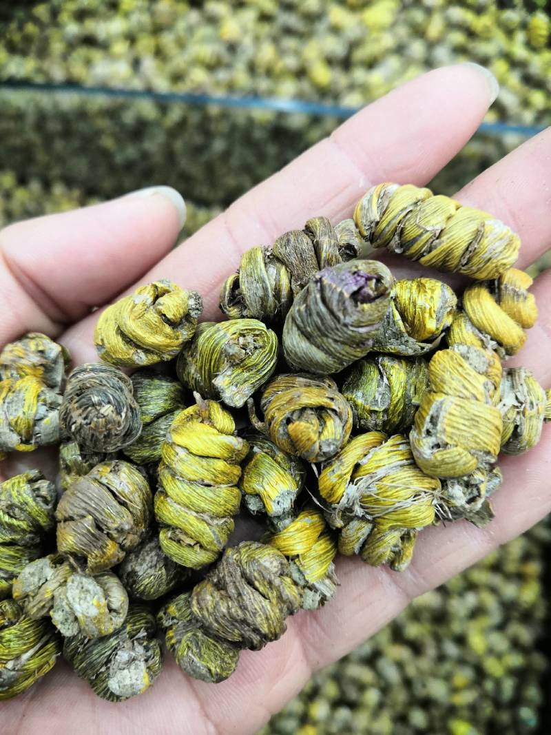 铁皮石斛一斤包邮批发价格量大优惠