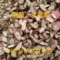 菖蒲，中药材水菖蒲片质量保证经营各种中药材欢迎咨询选购