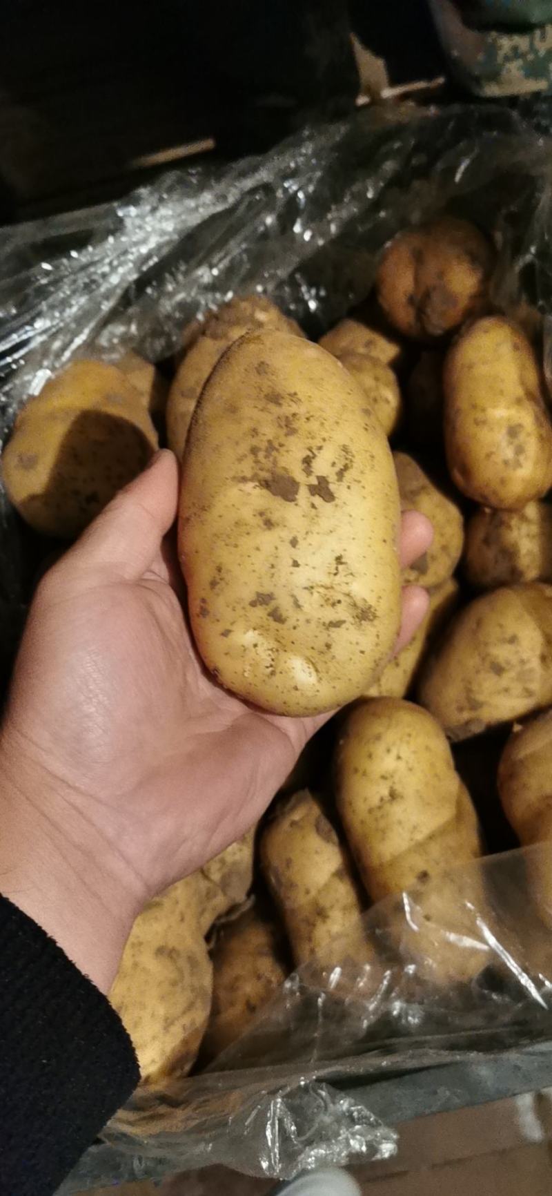 好货便宜，赶快联系