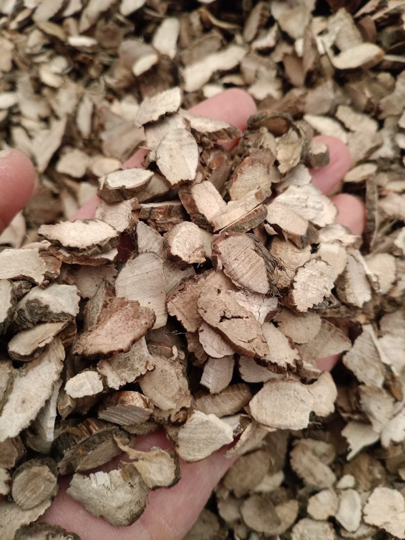 菖蒲，中药材水菖蒲片质量保证经营各种中药材欢迎咨询选购