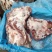 小排…肉多新鲜，用过都知道…性价比高，肉多很好