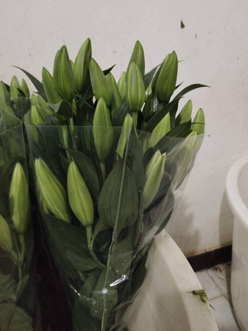 粉百合鲜切花货源充足产地直发，新鲜直达，规格全