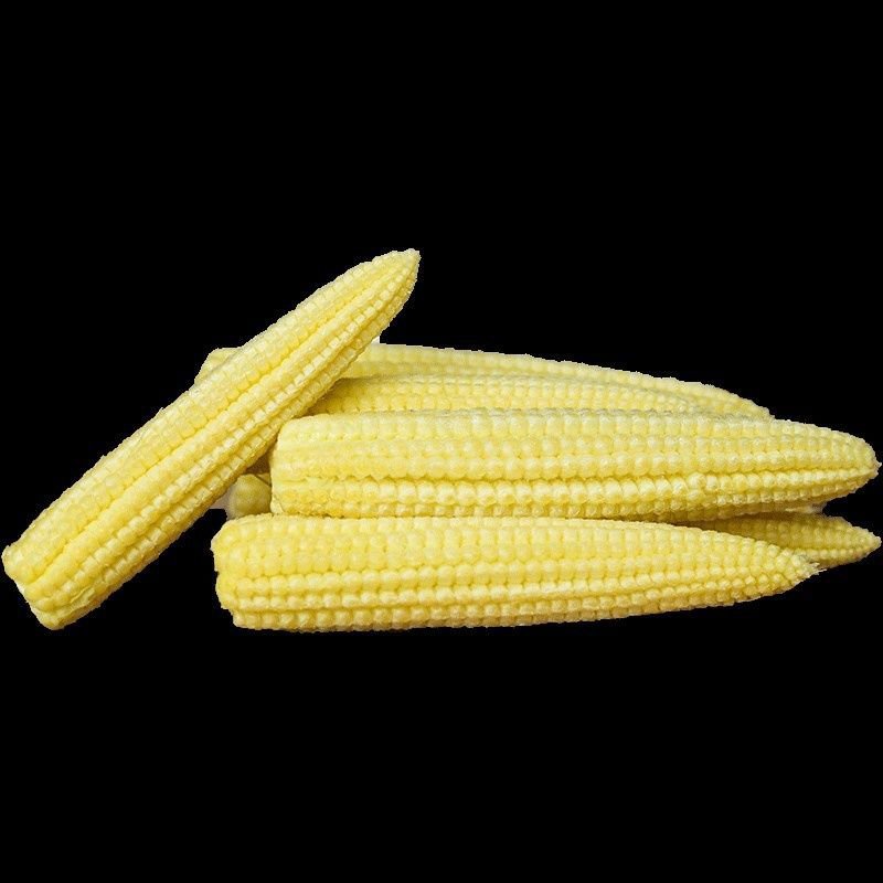 广东水果甜玉米笋新鲜玉米芯玉米笋带皮食材包邮。