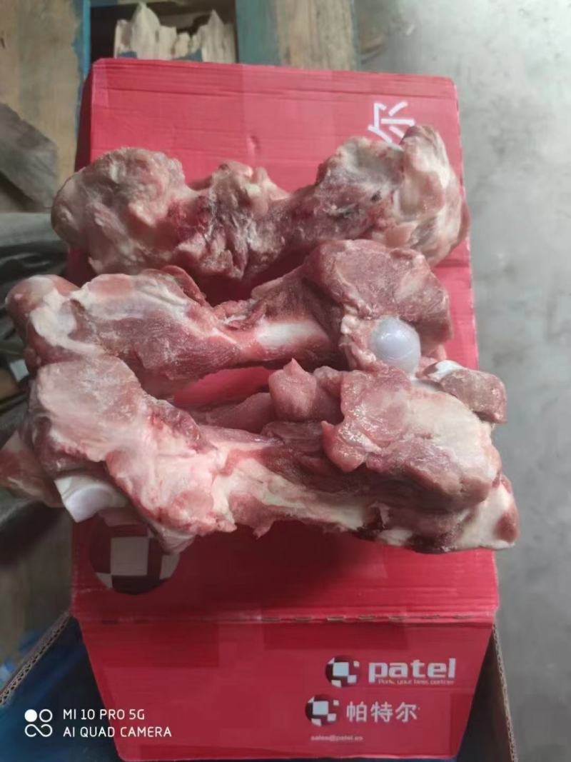 前腿骨，可以吃肉，喝骨髓的骨头，整根半截都有…支持加工定