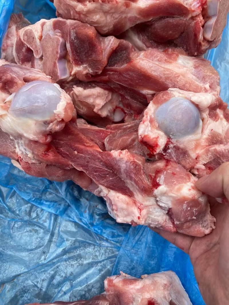 前腿骨，可以吃肉，喝骨髓的骨头，整根半截都有…支持加工定