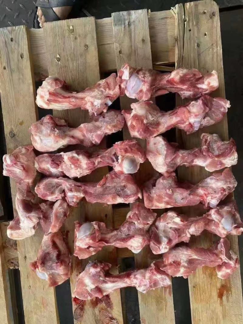 前腿骨，可以吃肉，喝骨髓的骨头，整根半截都有…支持加工定