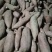 【优选】河北精品西瓜红全国代发量大从优欢迎来电咨询