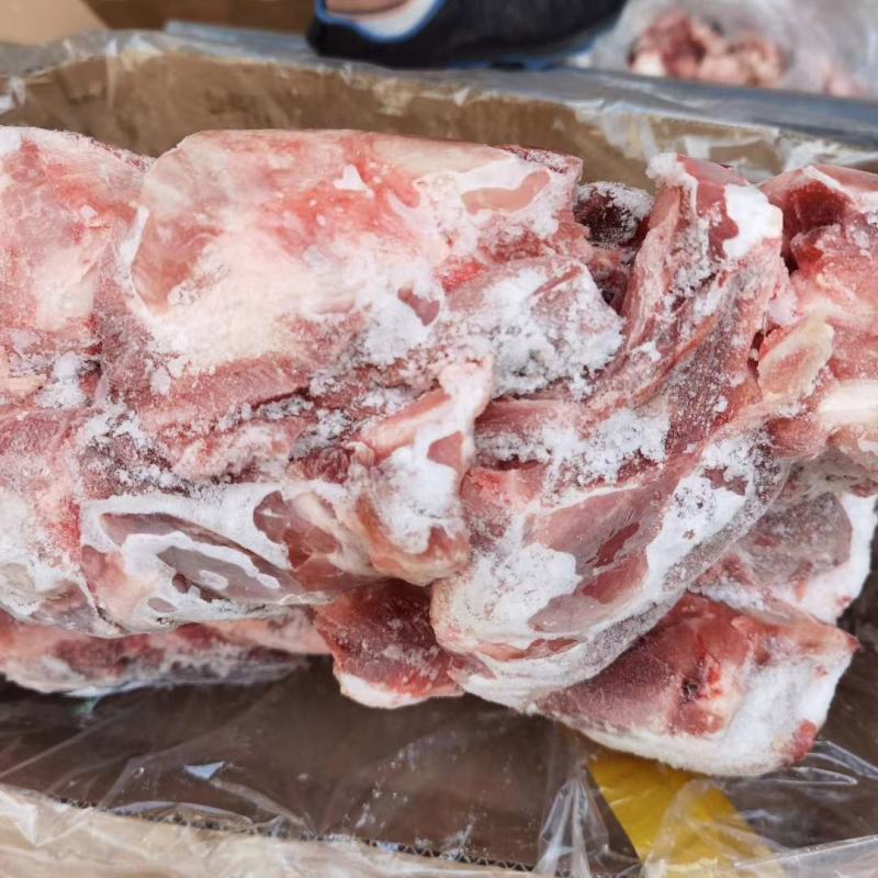 国产肥猪满肉半截前腿骨，百分之五十肉，吃肉带骨髓