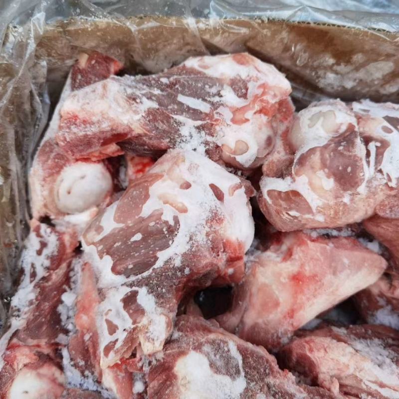 国产肥猪满肉半截前腿骨，百分之五十肉，吃肉带骨髓