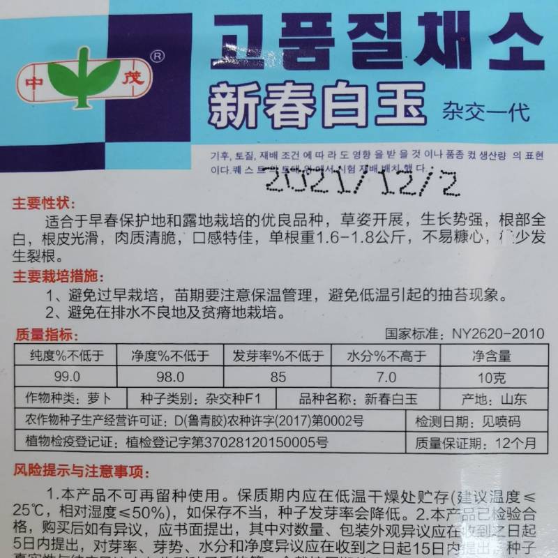 韩国白玉春萝卜种子新春白玉耐抽苔不糠心早春季萝卜种籽