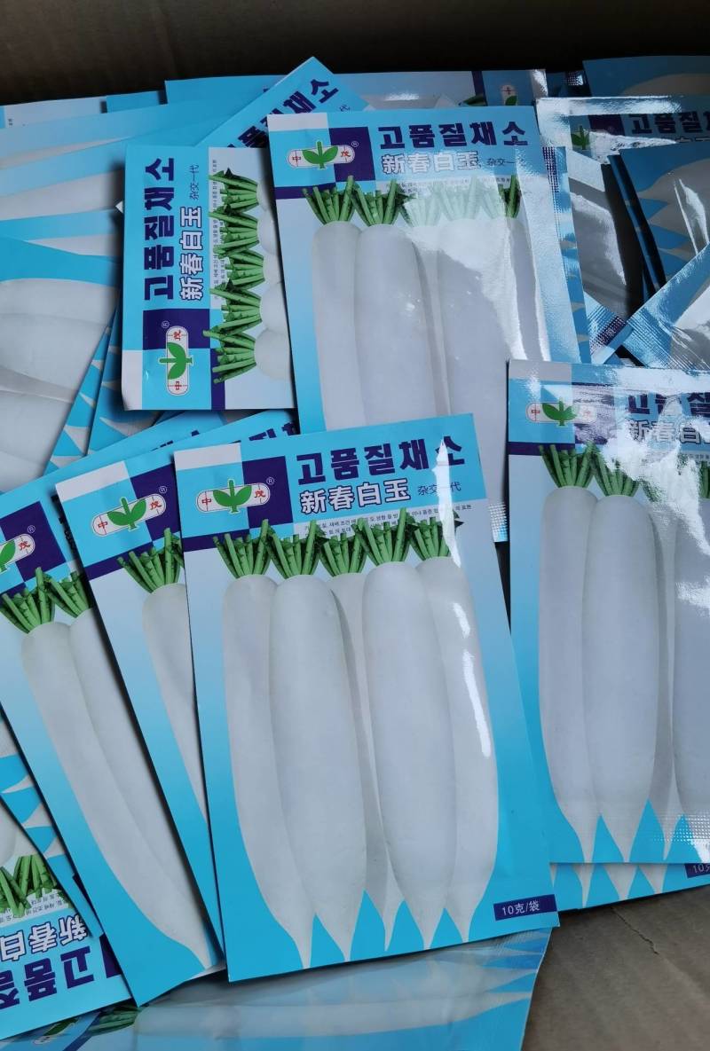 韩国白玉春萝卜种子新春白玉耐抽苔不糠心早春季萝卜种籽