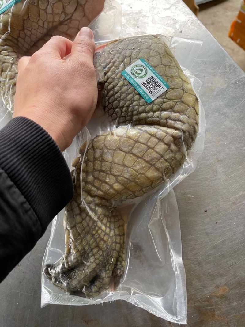 鳄鱼，鳄鱼脚，尾、掌、可新鲜抽真空，顺丰快递包邮。