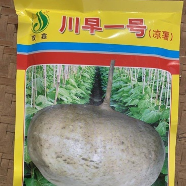 双鑫川早一号地瓜种子，400克，双鑫川早一号凉薯种子