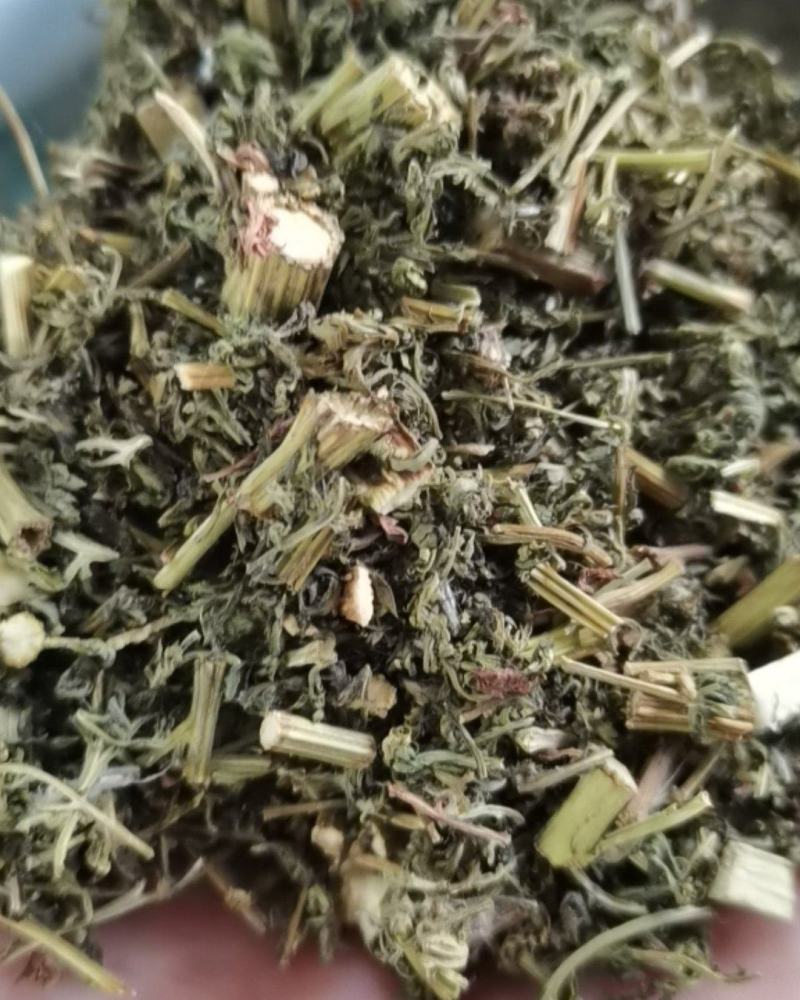 青蒿中药材苦蒿臭蒿草蒿臭蒿野兰蒿桐臭蒿