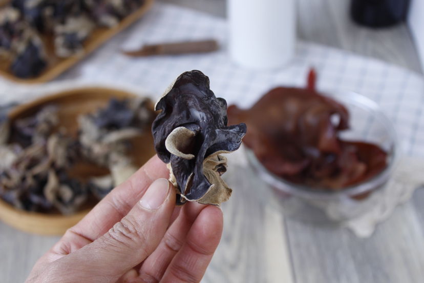 白背毛木耳特写